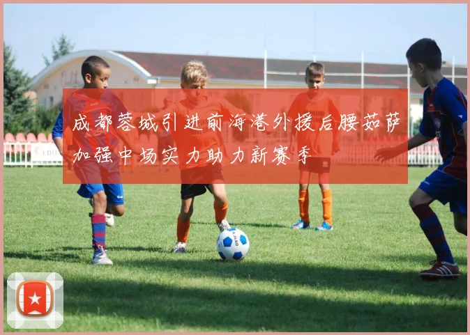 成都蓉城引进前海港外援后腰茹萨加强中场实力助力新赛季