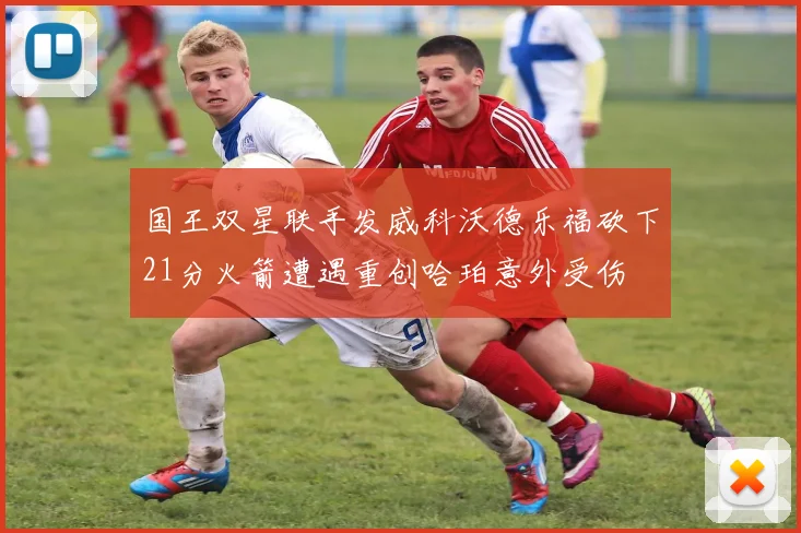 国王双星联手发威科沃德乐福砍下21分火箭遭遇重创哈珀意外受伤
